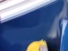 Amateur Cam Girl Fingers And Toys With Her Loose Ass