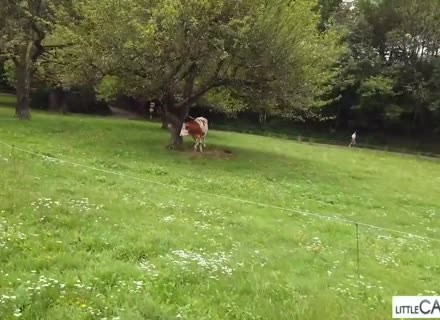 Awesome Pov Sex With Hot Czech Slut Little Caprice