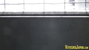 Japanese Bitch Gets Had Intercourse