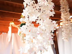 European Chicks Swap Cocks In Steamy 4some