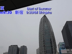 Lonely Japanese Wife Pharmaceutical Researcher Onsen Tryst