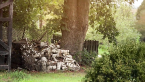 German Amateur Porn3