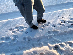 Slim Gal Pleases A Stranger With BJ In The Car And Hot Dick Riding In Her Flat For Giving Her A Lift