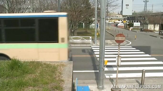 Hidden Handjob On The Bus