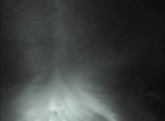 Cheating Wife With IT Guy In The Office