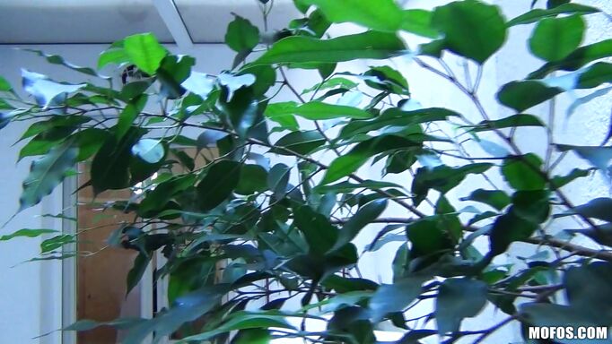 Blonde Chick Getting Licked All Over