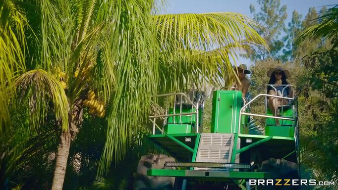 Adventure In The Jungle