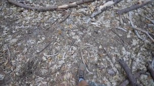 Thick Latina Step Sis Swallows My CUM In Yosemite National Park   Cami Strella + Lev Lieben