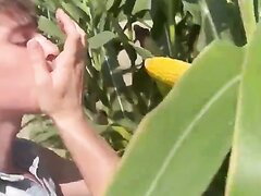Pornstar Sucks A Big Husk Of Corn Like A Huge Hard Cock