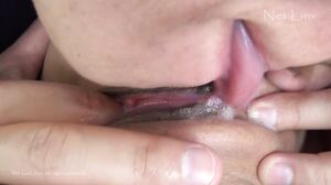 Net Linx K1440 Jav Uncensored Porn