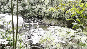 BBW Latina Was Wild Fucked Outdoor In Woods