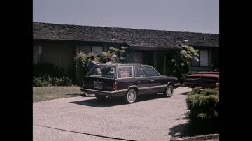 1984   L'amour (1080)