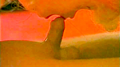 Barbie And Can   Adult Porn Movie