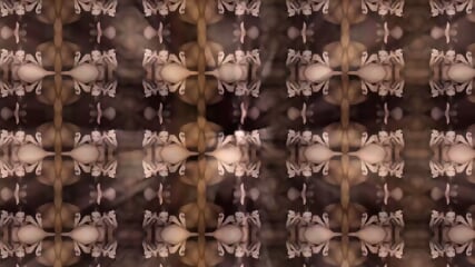 GANGBANG CREAMPIE   Horny Haley Rides Leaking Creampie Frenzy