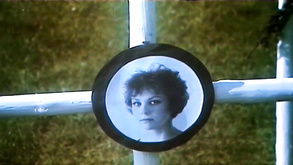 Mes Nuits Avec 19762