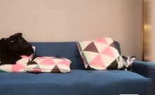 Blowjobs And Handjobs Galore With Hot Busty Blondes