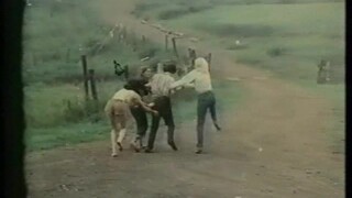 The Farmer’s Daughters (1976) IMDB Tt0072974